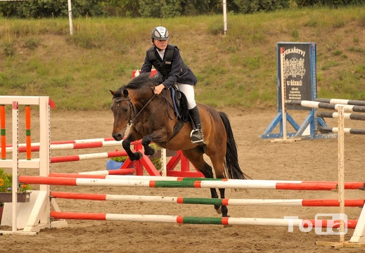 DSC 4817 (426 visits) DSC 4817