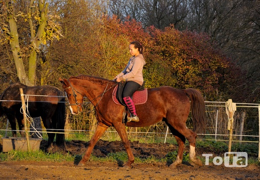 DSC 7982 (826 visits) DSC 7982