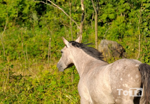 DSC 0504 (764 visits) DSC 0504