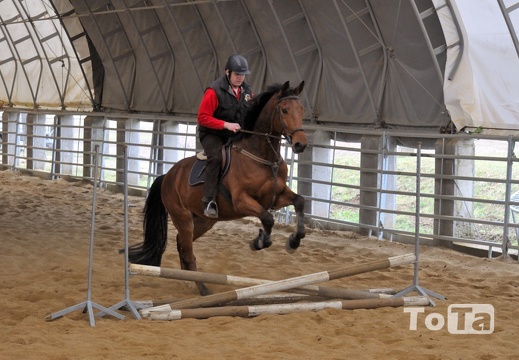 DSC 5648 (1308 visits) DSC 5648