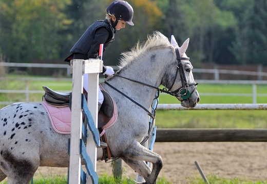 DSC 6216 (304 visits) DSC 6216