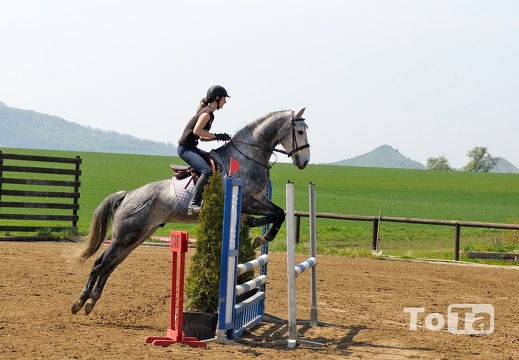 DSC 1515 (710 visits) DSC 1515