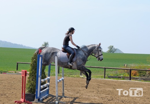 DSC 1516 (720 visits) DSC 1516
