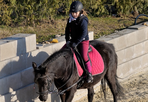 DSC 2821 (1255 visits) DSC 2821