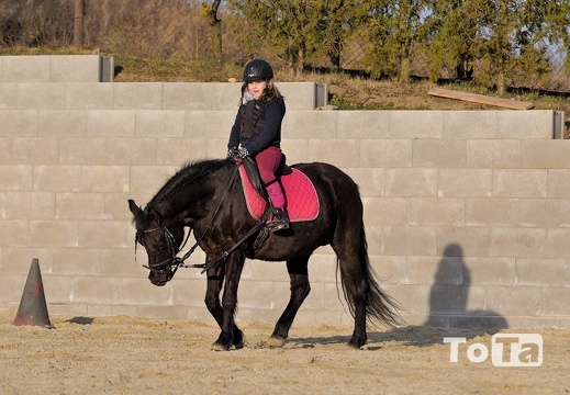 DSC 2868 (1205 visits) DSC 2868