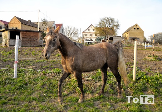 DSC 6844 (386 visits) DSC 6844