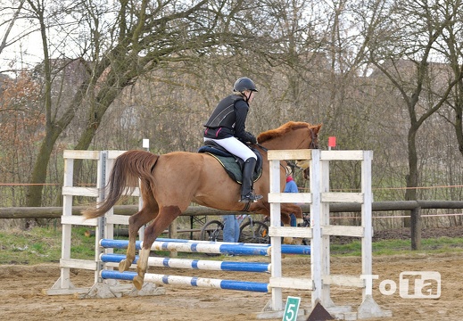 DSC 5000 (416 visits) DSC 5000
