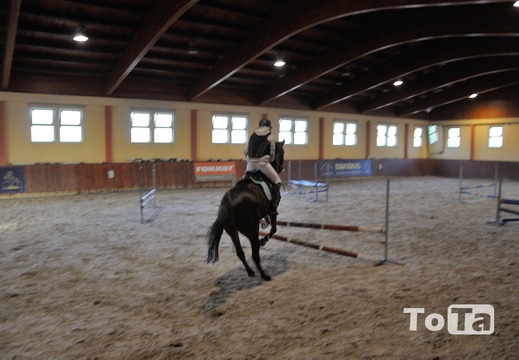 DSC 3902 (1410 visits) DSC 3902