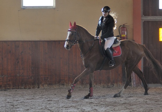 DSC 3972 (1277 visits) DSC 3972