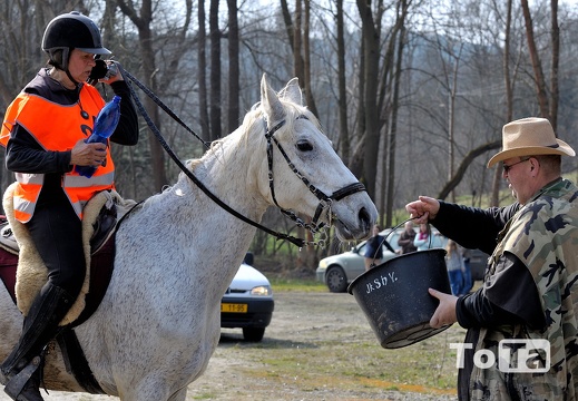 DSC 6053 (627 visits) DSC 6053
