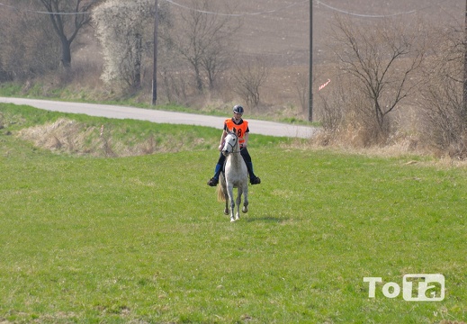 DSC 6154 (331 visits) DSC 6154