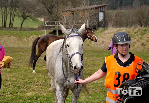 DSC 6221 (358 visits) DSC 6221