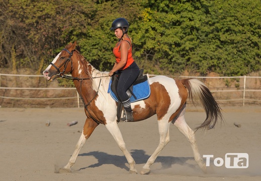 DSC 2856 (91 visits) DSC 2856