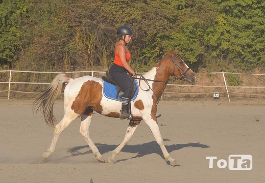DSC 2867 (82 visits) DSC 2867