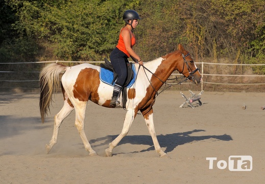 DSC 2871 (92 visits) DSC 2871