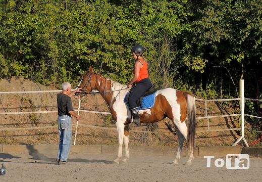 DSC 2934 (86 visits) DSC 2934