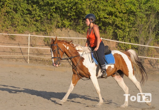 DSC 2965 (90 visits) DSC 2965