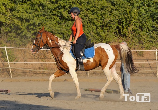 DSC 3002 (47 visits) DSC 3002