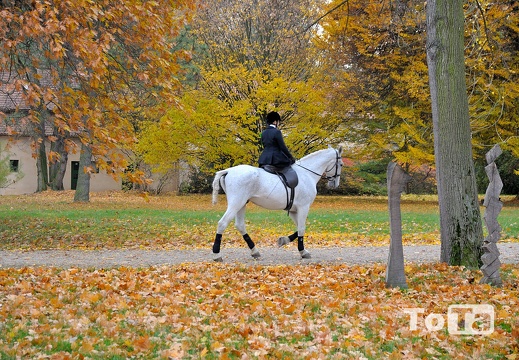 DSC 8279 (983 visits) DSC 8279