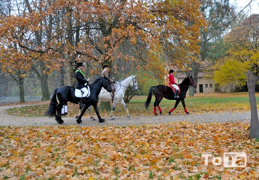 DSC 8285 (946 visits) DSC 8285