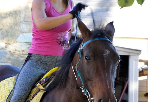 DSC 4318 (143 visits) DSC 4318