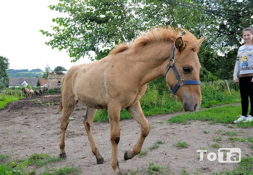 DSC 8072 (106 visits) DSC 8072