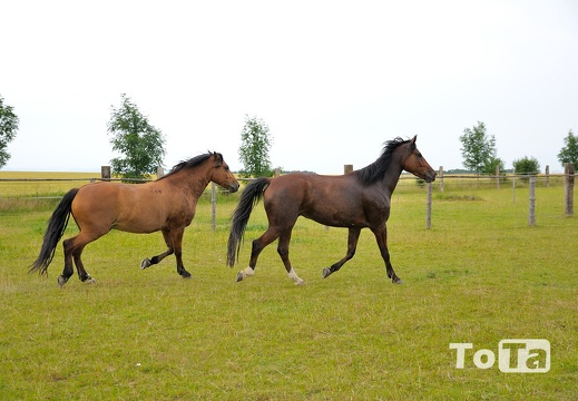 DSC 2657 (41 visits) DSC 2657