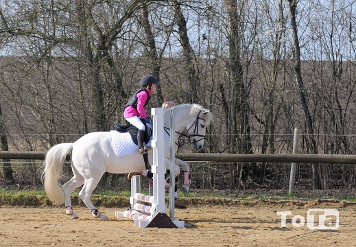 DSC 7479 (446 visits) DSC 7479