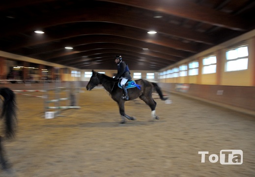 DSC 2528 (335 visits) DSC 2528
