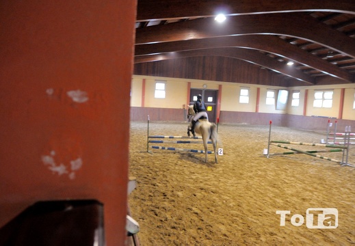 DSC 2610 (278 visits) DSC 2610