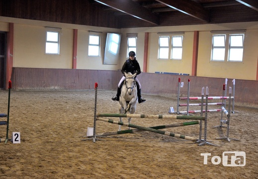 DSC 2612 (270 visits) DSC 2612