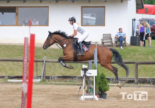 DSC 1460 (510 visits) DSC 1460
