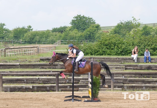 DSC 1491 (451 visits) DSC 1491