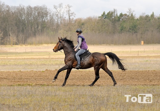 DSC 6793 (322 visits) DSC 6793