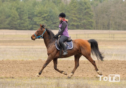 DSC 6826 (330 visits) DSC 6826