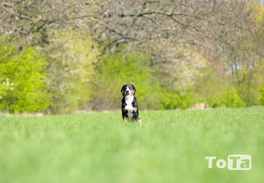 DSC 9076 (517 visits) DSC 9076