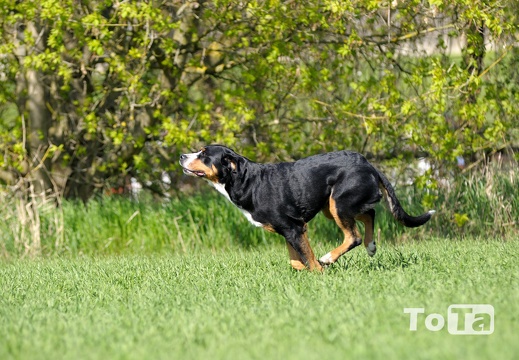 DSC 9106 (505 visits) DSC 9106