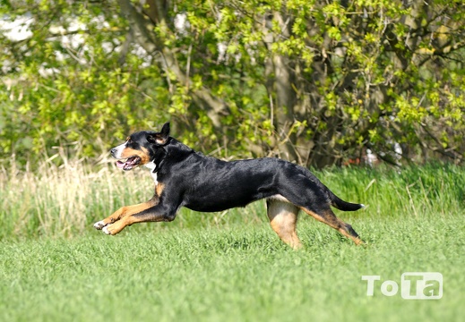 DSC 9107 (566 visits) DSC 9107