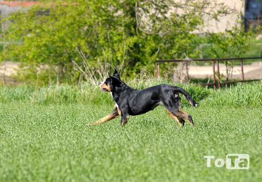 DSC 9146 (477 visits) DSC 9146