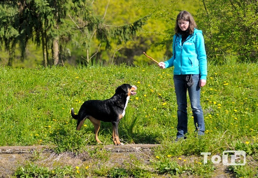 DSC 9231 (429 visits) DSC 9231