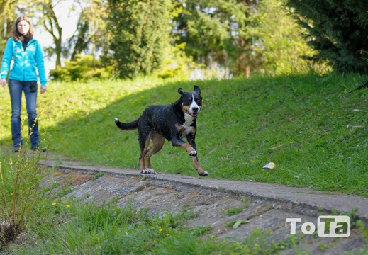 DSC 9245 (451 visits) DSC 9245