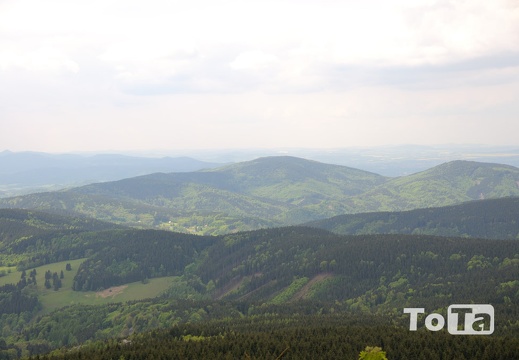 DSC 1249 (44 visits) DSC 1249