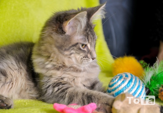 DSC 1798 (667 visits) DSC 1798