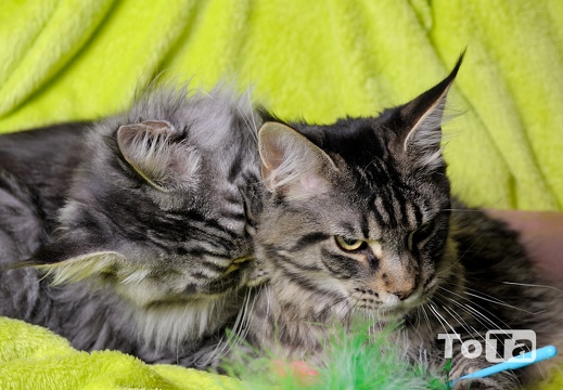 DSC 1876 (598 visits) DSC 1876
