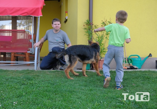 DSC 5094 (518 visits) DSC 5094