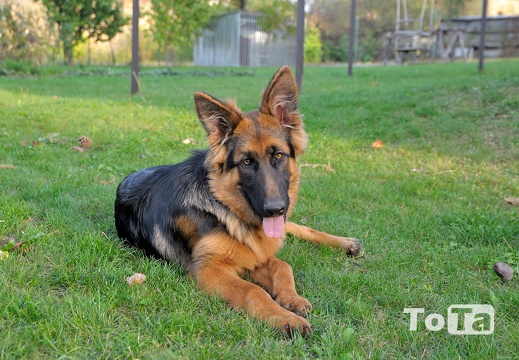 DSC 5125 (578 visits) DSC 5125
