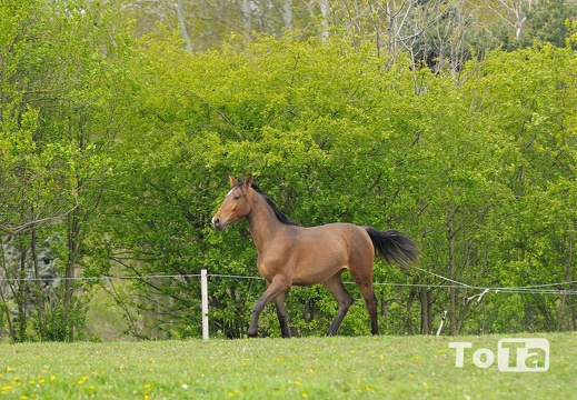 DSC 0932 (431 visits) DSC 0932