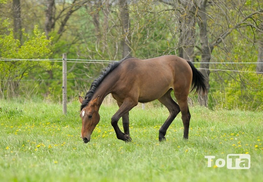 DSC 1032 (383 visits) DSC 1032