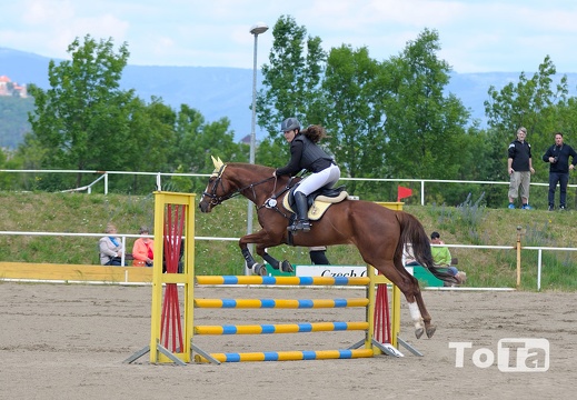 DSC 6512 (271 visits) DSC 6512