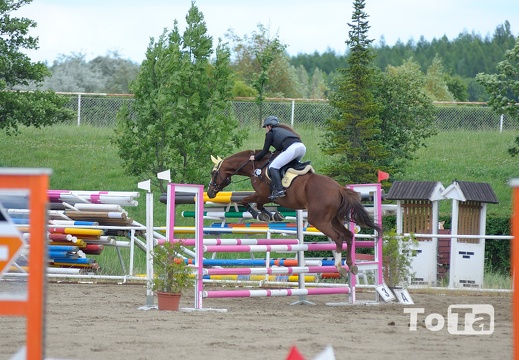 DSC 6572 (209 visits) DSC 6572